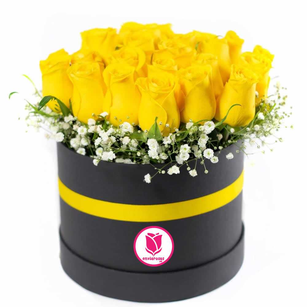 Box 24 Rosas Amarillas 